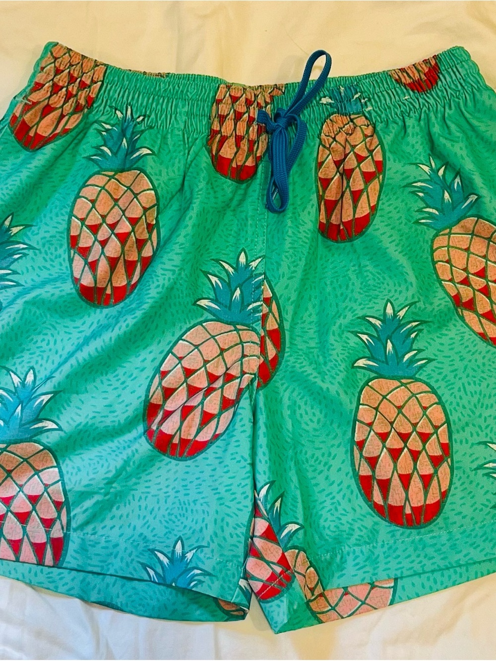 chubbies Green Pineapple Print Swim Trunks